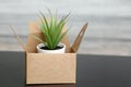 Empty cardboard box with succulent for gift