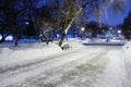 Empty causeway, trees, bench in park at winter