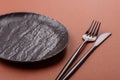 Empty ceramic plate on a monochrome brown background Royalty Free Stock Photo