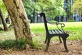 An Empty Chair and An Old Tree Trunk In a Green Park Royalty Free Stock Photo