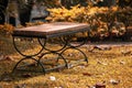 Empty chair in park on sunny day Royalty Free Stock Photo