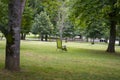 Empty chair stands on the grass in the park Royalty Free Stock Photo