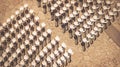 Empty chairs view from above, audience concept. Royalty Free Stock Photo