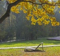 Empty chaise lounge under the old oak Royalty Free Stock Photo