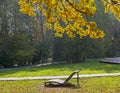 Empty chaise lounge under the old oak Royalty Free Stock Photo