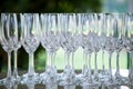 Empty champagne glass Royalty Free Stock Photo