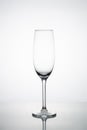 Empty champagne glass on white background. Luxury drinks glass on white background