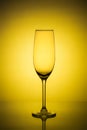 Empty champagne glass on yellow background. Luxury drinks glass in yellow lights