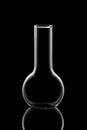 Empty chemistry flask