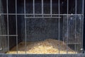 The Empty chicken steel cage at a poultry farm. Royalty Free Stock Photo