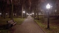 Empty city park with wooden bench and lantern standing on tiled path at night Royalty Free Stock Photo