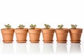 Empty clay flower pots isolated on white background. Generate Ai Royalty Free Stock Photo