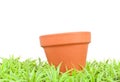 Empty Clay Pot in the Grass