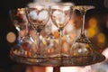 empty clean glass glasses for alcoholic drinks in a restaurant on a bar counter Royalty Free Stock Photo