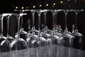 Empty clean glasses on counter in bar, closeup Royalty Free Stock Photo