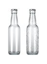 Empty Clear Beer Bottle Royalty Free Stock Photo
