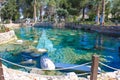 Cleopatra pool with termal water at Pamukkale, Turkey. Royalty Free Stock Photo