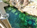 Cleopatra pool with termal water at Pamukkale, Turkey. Royalty Free Stock Photo