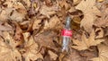 Empty coca cola bottle among autumn leaves in nature