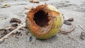 Empty coconut close up