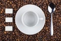 Empty coffeecup with saucer, lumpy sugar and spoon on coffee Royalty Free Stock Photo