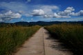 empty concrete road Grass flowers on both sides of the road The road to the mountains Royalty Free Stock Photo