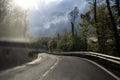 Empty concrete road between green trees under dark clouds and sun, highway before the storm, Catalonia, Spain Royalty Free Stock Photo