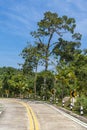 Empty concrete road with turn and signposts through the rainforest at sunny summer day on the tropical island, Thailand. Road Royalty Free Stock Photo