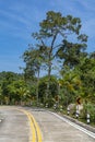 Empty concrete road with turn and signposts through the rainforest at sunny summer day on tropical island, Thailand. Road turn Royalty Free Stock Photo
