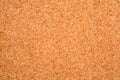 Empty cork board Royalty Free Stock Photo