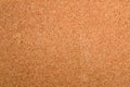 Empty cork board Royalty Free Stock Photo