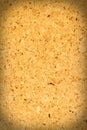 Empty cork board, background Royalty Free Stock Photo