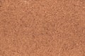 Empty cork board background Royalty Free Stock Photo