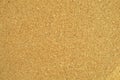 Empty cork board texture background, add your own message with thumbtack Royalty Free Stock Photo