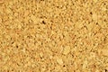 Empty cork board texture background, add your own message with thumbtack Royalty Free Stock Photo