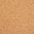 Empty cork memo board Royalty Free Stock Photo