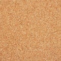 Empty cork memo board Royalty Free Stock Photo