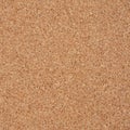 Empty cork memo board Royalty Free Stock Photo