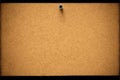 Empty corkboard or pinboard or bulletin board, cork background, Generative AI