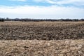 Empty corn field after fall harvest with residue over soil. Urban sprawl visible in the distance with residential Royalty Free Stock Photo