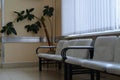 Empty corridor with ficus and armchairs in the clinic in Moscow, Russia Royalty Free Stock Photo