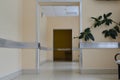 Empty corridor with ficus in the clinic in Moscow, Russia Royalty Free Stock Photo