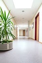 Empty corridor in a nursing home or hospital Royalty Free Stock Photo