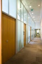 Empty corridor with set of doors Royalty Free Stock Photo