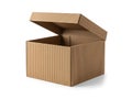 Empty corrugated cardboard box with lid open against white background Royalty Free Stock Photo