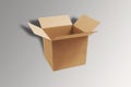 Empty corrugated carton box packaging Mock up isolated