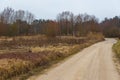 Empty country, field road in winter. Latvian Royalty Free Stock Photo