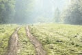 Empty country road across green meadow in spring early morning h Royalty Free Stock Photo