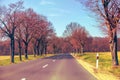 Empty country road in early spring Royalty Free Stock Photo