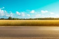 Empty country road with field and rural landscape background on a sunny day Royalty Free Stock Photo